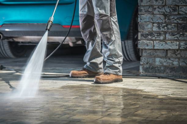 Best Paint Preparation  in Conesus Lake, NY
