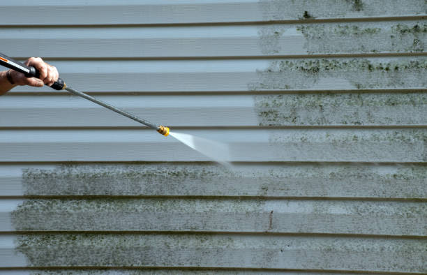 Best Driveway Pressure Washing  in Conesus Lake, NY